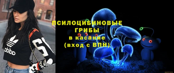 стаф Мегион