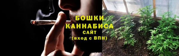 стаф Мегион