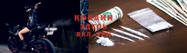 стаф Мегион